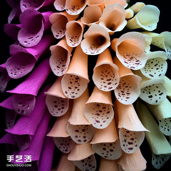 ֽg̺ ֽռٻͼƬ -  www.youjiao5.com