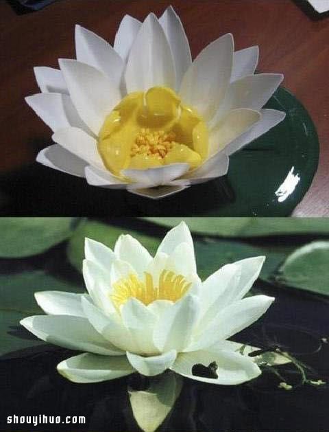 ƿΪֹƯ -  www.youjiao5.com
