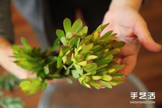 ľDIY ɭϵ廨װ -  www.youjiao5.com