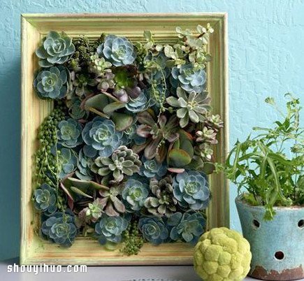ԶֲװλDIYֹͼ̳ -  www.youjiao5.com