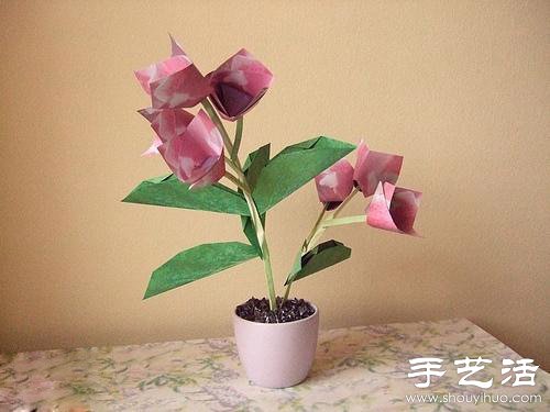 ֹƯֽ -  www.youjiao5.com