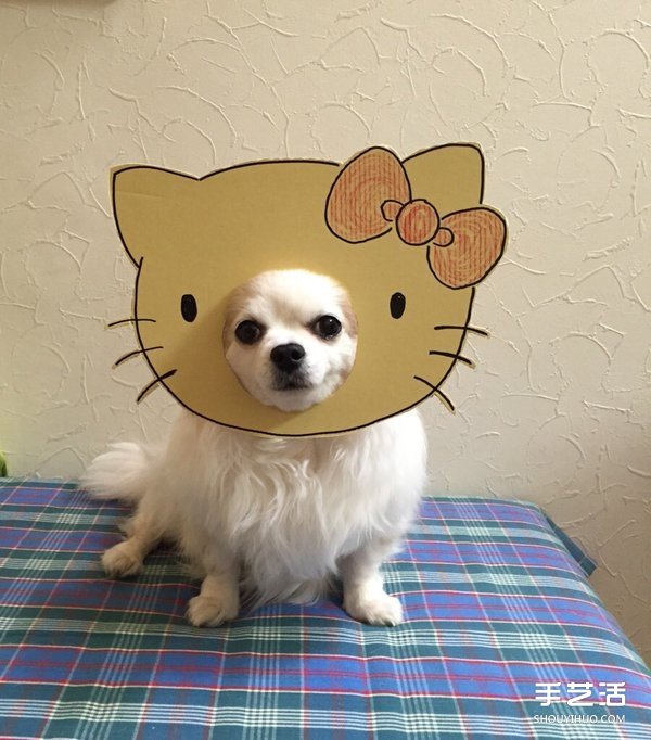ֽ+= ôСɰ -  www.youjiao5.com