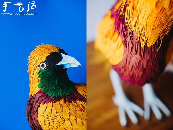 ֽƷ -  www.youjiao5.com