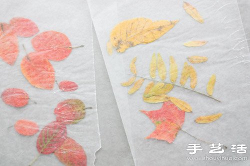 ŷ۷ ŷֹͼ -  www.youjiao5.com