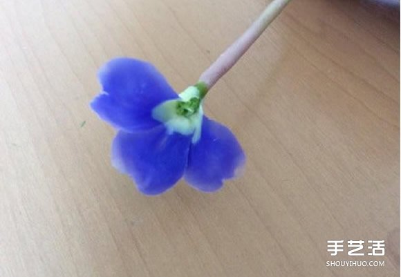 ճ̳ ֹճ̳ͼƬ -  www.youjiao5.com
