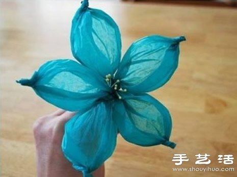 ĳֹֽֽ̳ -  www.youjiao5.com