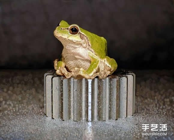 ԽӰĳʵﻭ ʶ滭 -  www.youjiao5.com
