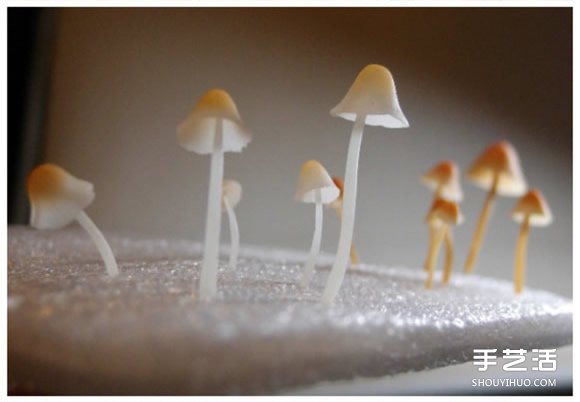 ճĢֹ̳ Լ -  www.youjiao5.com
