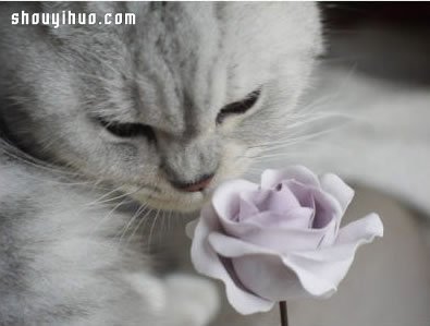õ廨DIY Ưֹֹͼ̳ -  www.youjiao5.com