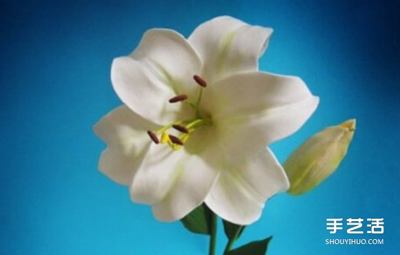 ճٺϻ̳ ֹDIY -  www.youjiao5.com