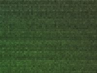 񾭵ɫPPTõƬز