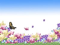 pptűͼ ŵ仨ƷͼƬ