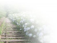 Ӿ졢·ԶPPTͼƬز