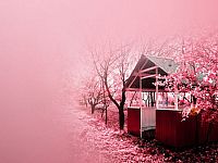 ӣȻõƬͼƬ